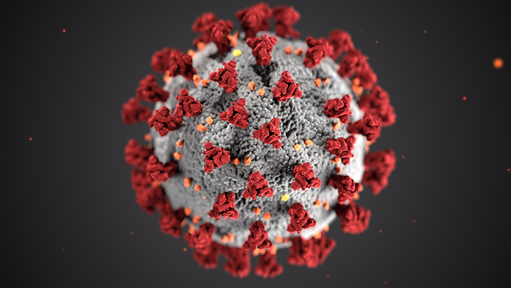 Image of covid-19 virus