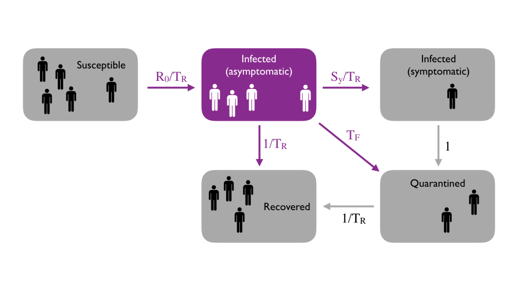 Researchers with the IDSS Covid-19 Collaboration (Isolat) are designing a control model for testing and isolating members of communities like MIT’s to reduce Covid-19 infection.