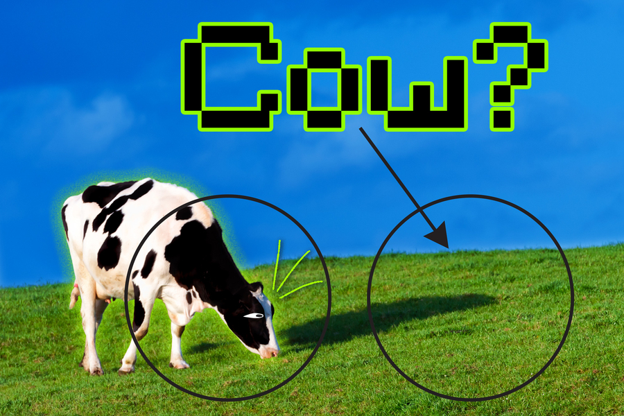a diagram of the difficulties AI software may have telling an image of a cow from the grass surrounding it