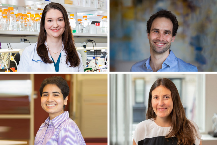 The four winners of the NIH award