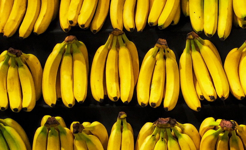 rows of bananas