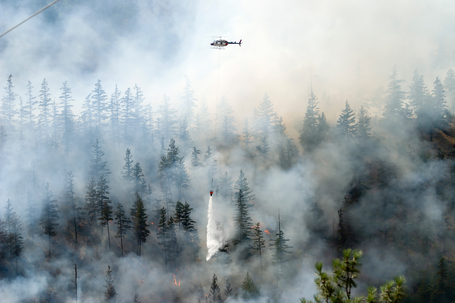 a helicopter dropping water on a wildfire