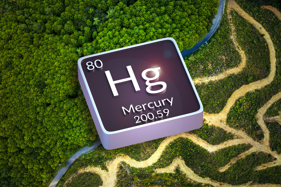 the periodic table symbol for mercury superimposed on a forest