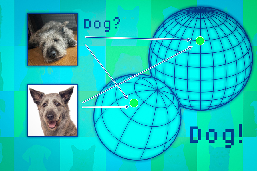 Photos of dogs from large and small data sets to illustrate a data model acting with increased focus